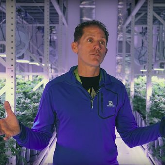 MOBILE VERTICAL GROWING SYSTEM FOR CANNABIS AT THE GROVE