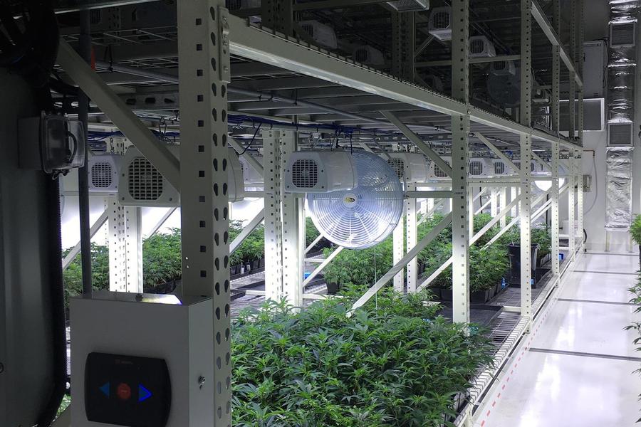 Cannabis vertical growing systems for vegetation and flowering rooms