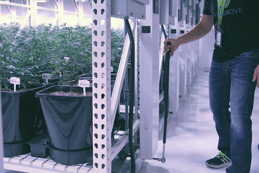 Sistemas de cultivo vertical de cannabis para vegetación y salas de floración