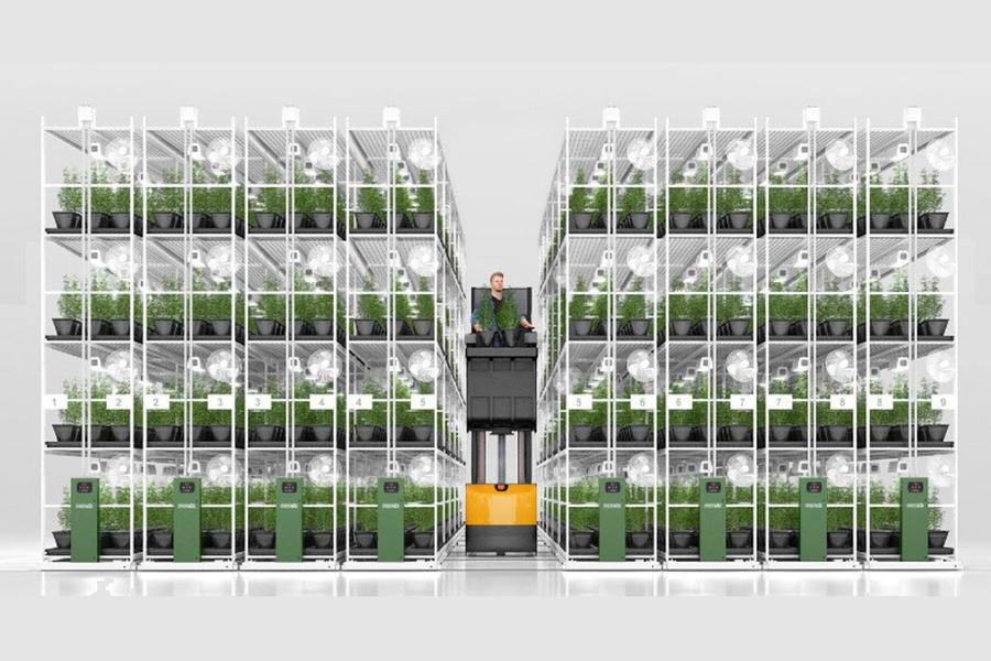 Maximize your vertical farming production