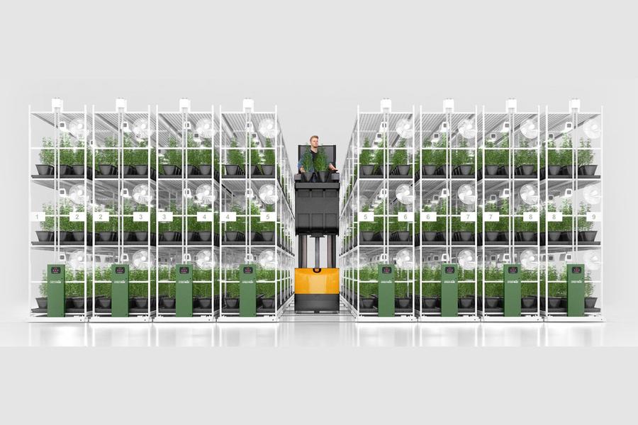 Multi-tier mobile grow racks