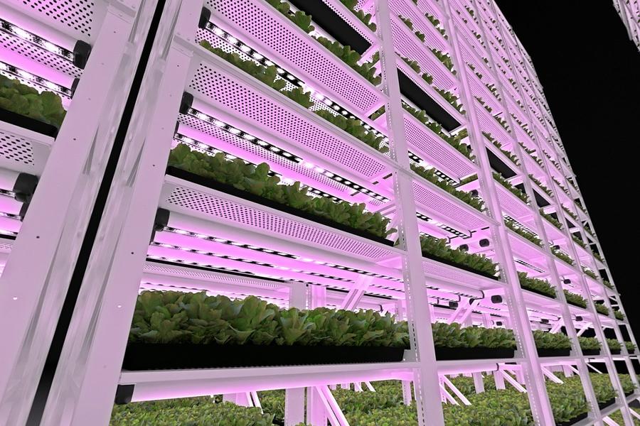 Vertical grow shelving for leafy greens or microgreens