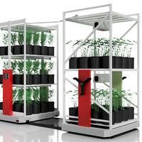Systèmes de culture verticale d'intérieur à haute densité  pour le clonage du cannabis