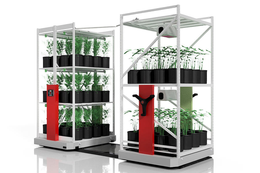 Systèmes de culture verticale d'intérieur à haute densité  pour le clonage du cannabis