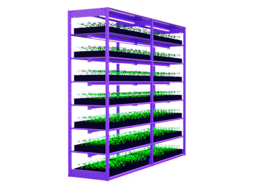 Cannabis vertical growing systems for cloning stages