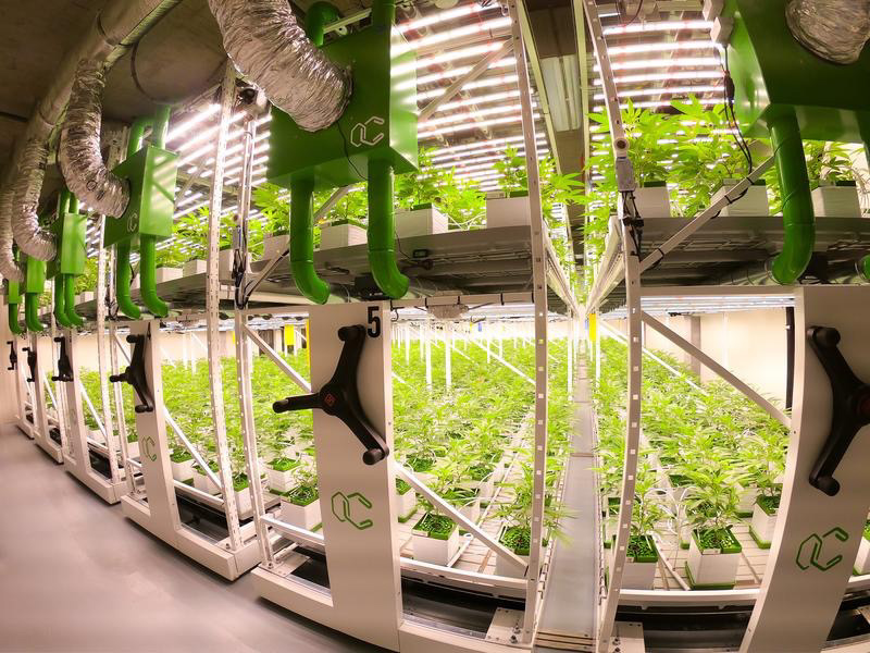 TAKE INDOOR FARMING TO THE NEXT LEVEL
