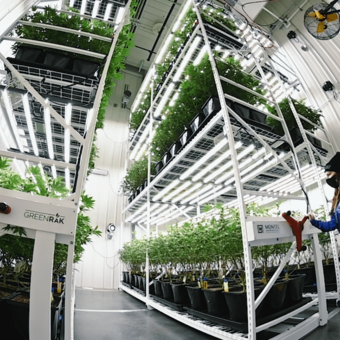 Why is finding the right equipment partner the major key to building out your vertical farm facility? 