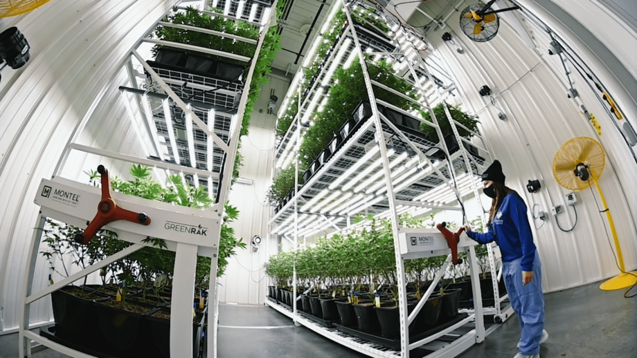 Why is finding the right equipment partner the major key to building out your vertical farm facility? 