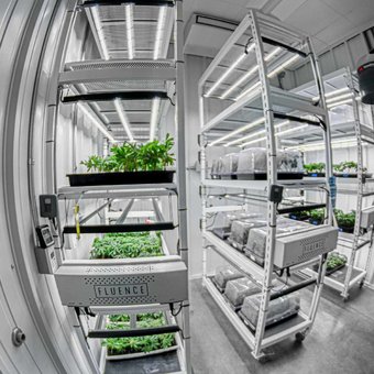 Mobile Vertical Grow Rack System