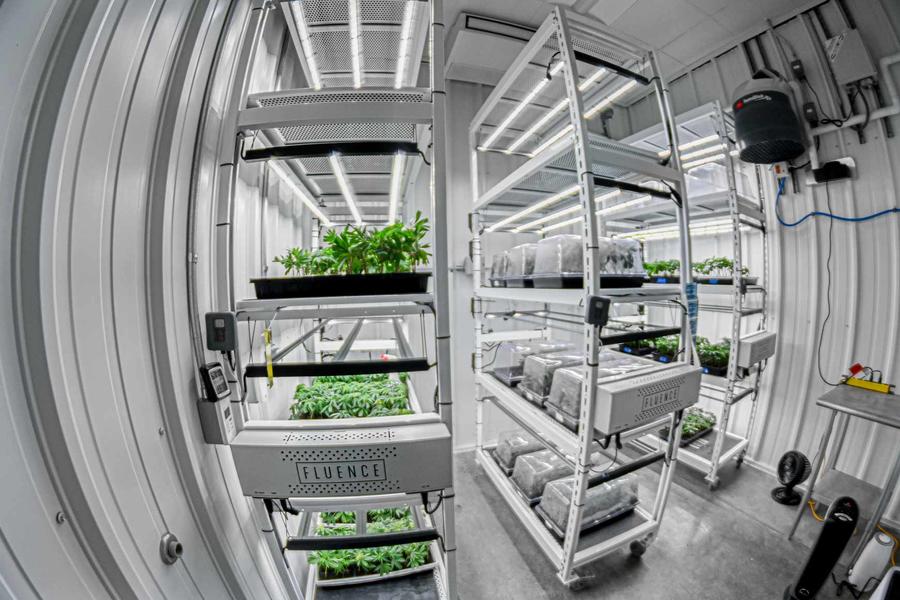 Mobile Vertical Grow Rack System